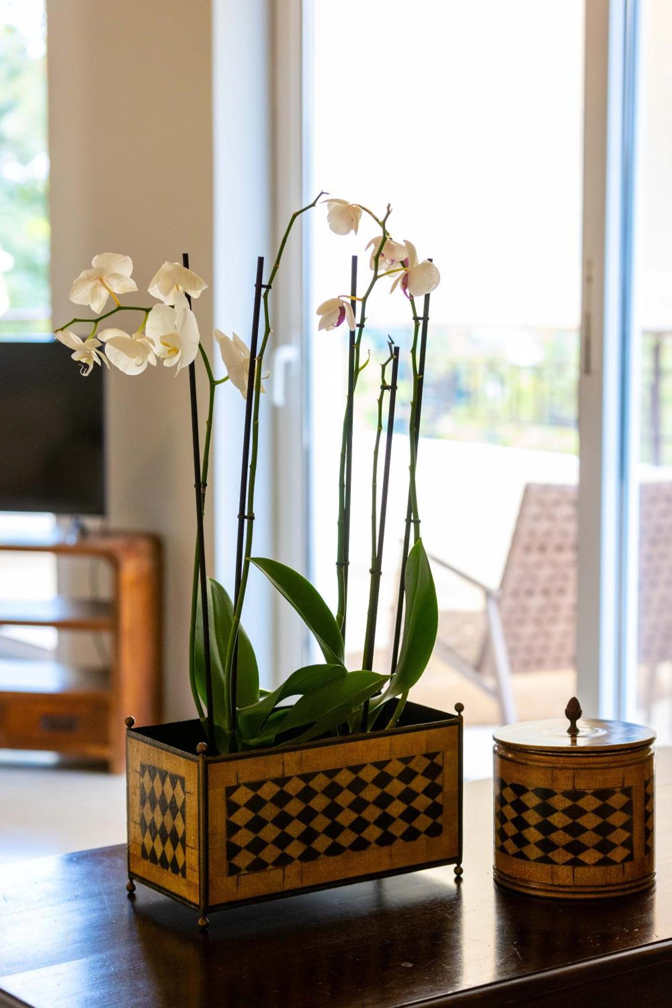 Villy'S Comfort Zone Apartments カラマタ エクステリア 写真